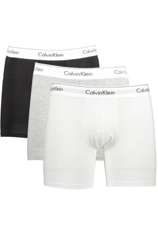 CALVIN KLEIN SZARY MĘSKI BOKSER (Grigio)